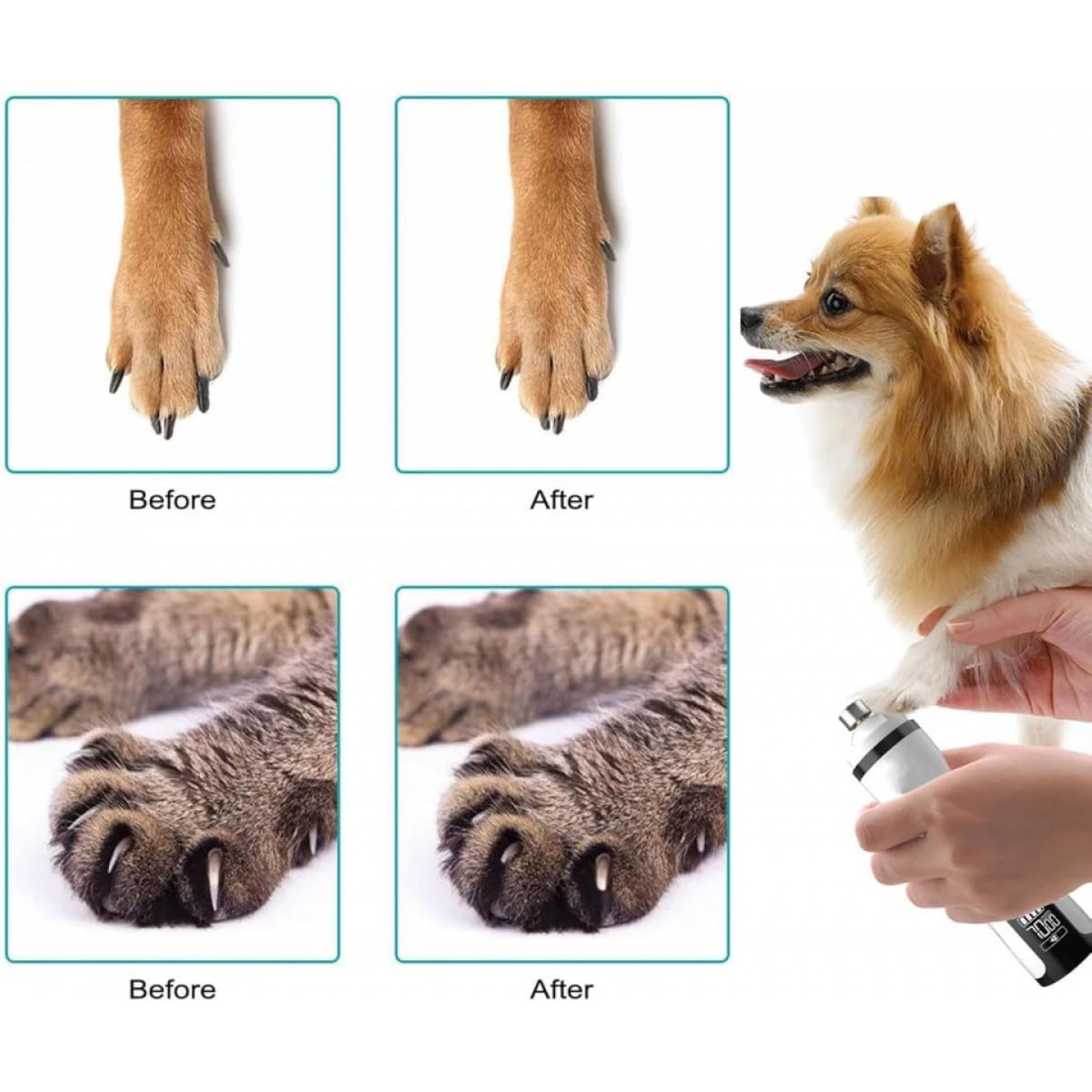 Cordless Pet Nail Grinder with LED Light C274840