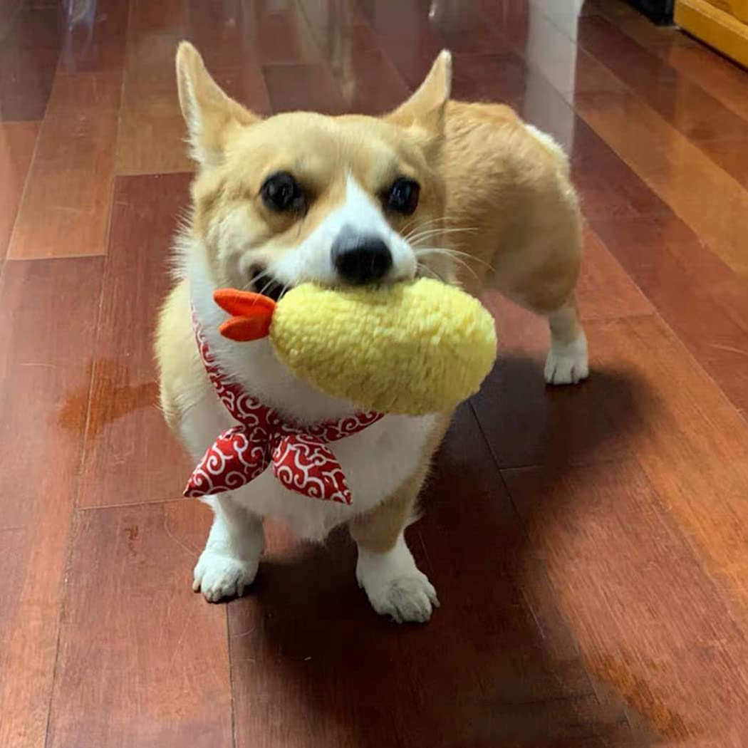 Bite Proof Squeaky Dog Toy Y337102