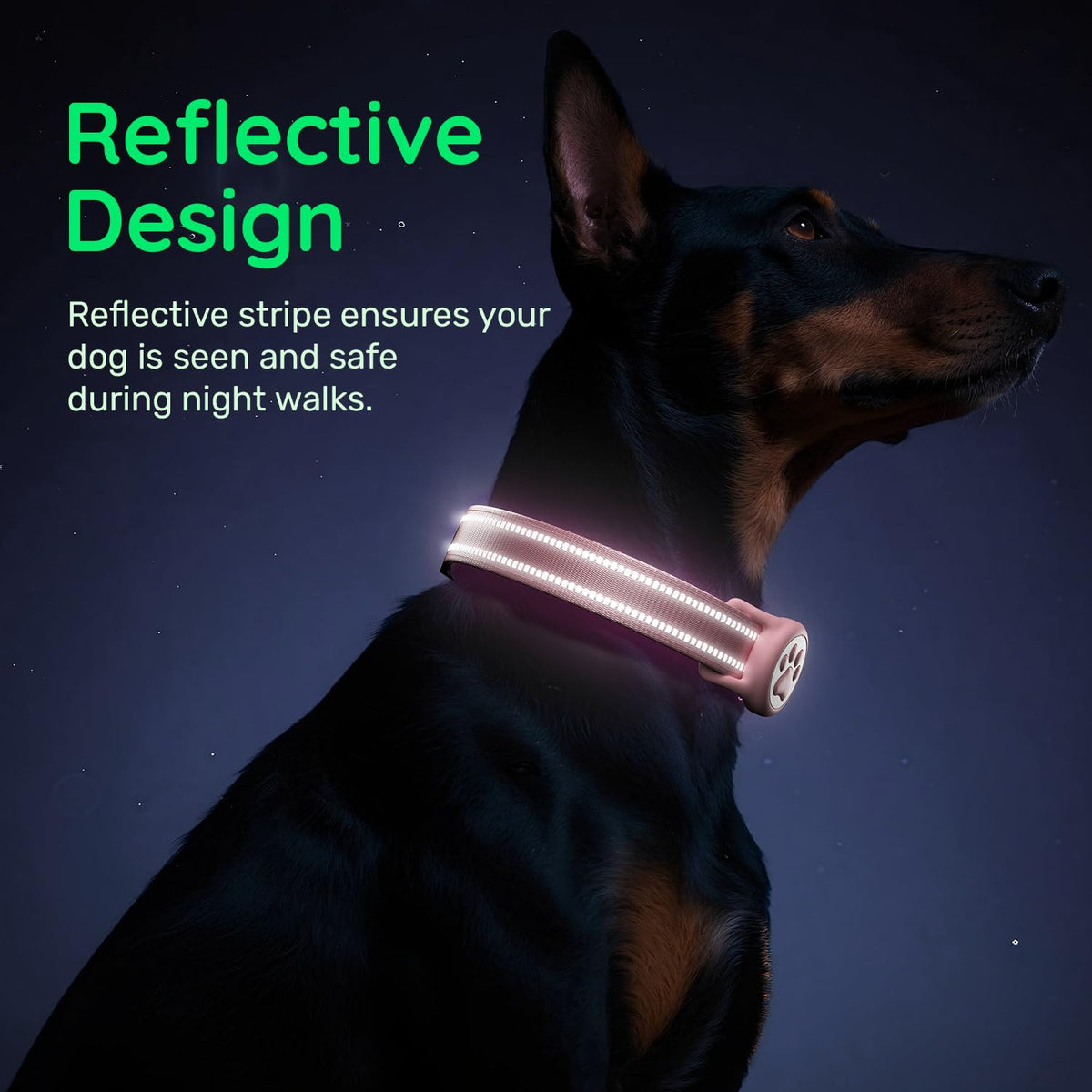 Pink IP68 Waterproof Dog Collar W513