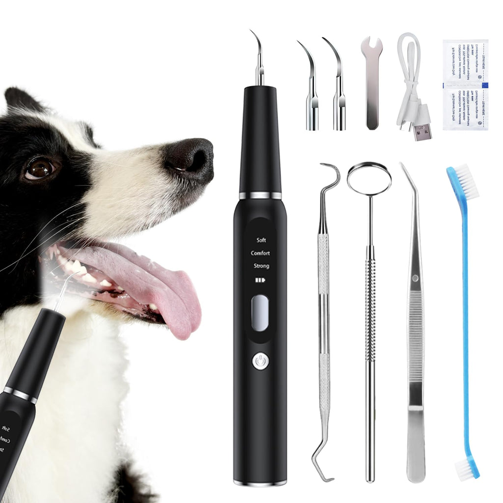Ultrasonic Dog Plaque Remover with LED Light Q27615