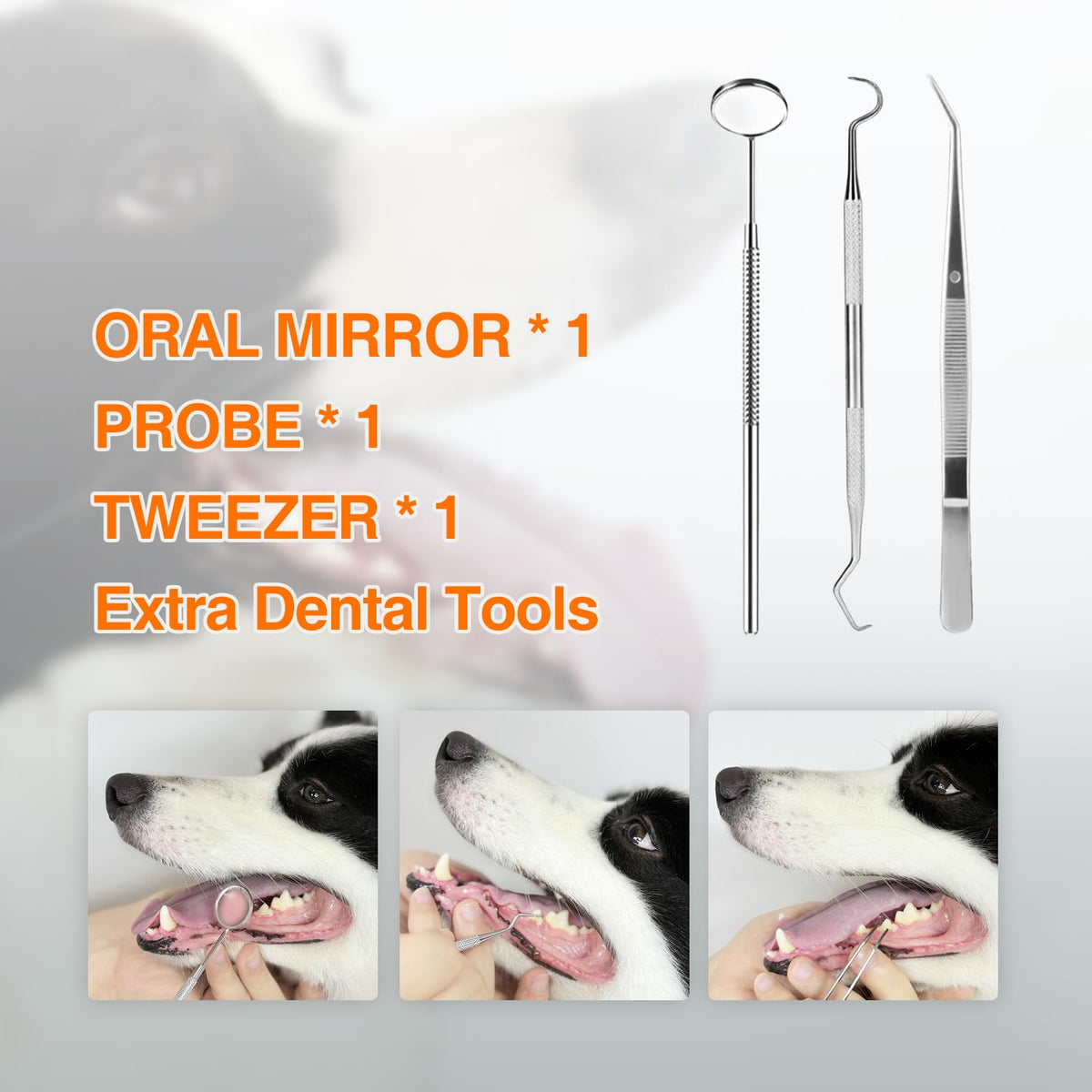 Ultrasonic Dog Plaque Remover with LED Light Q27615