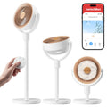 Rechargeable Oscillating Standing Fan B248927