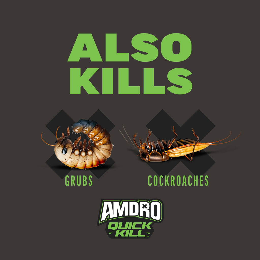 Ant & Spider Killer 3 lb K5374