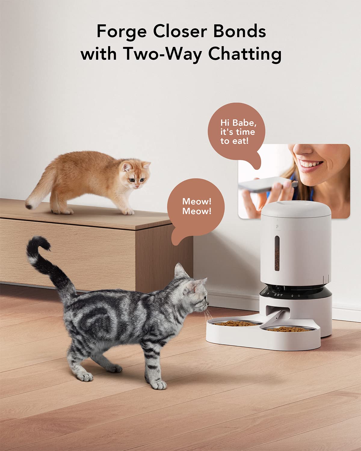 Automatic Cat Feeder with Camera 1080P HD Video 5G WiFi 2-Way Audio V85884