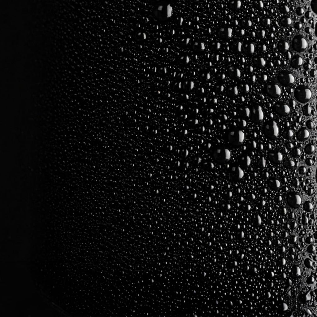 Hairspray O348