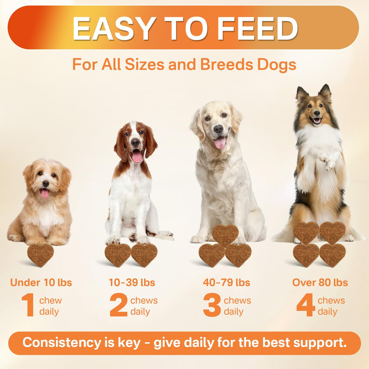 Flea and Tick Prevention for Dogs Chew V855001