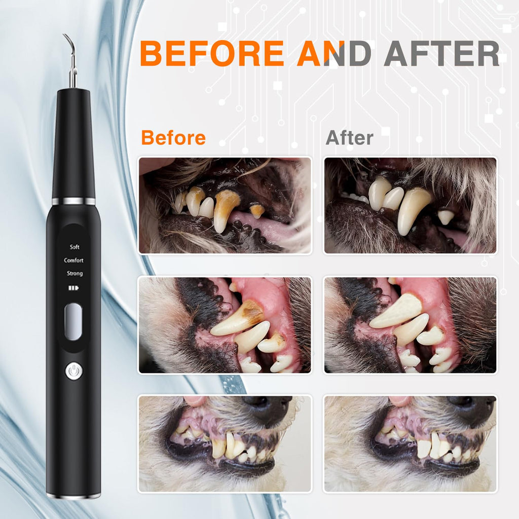 Ultrasonic Dog Plaque Remover with LED Light Q27615