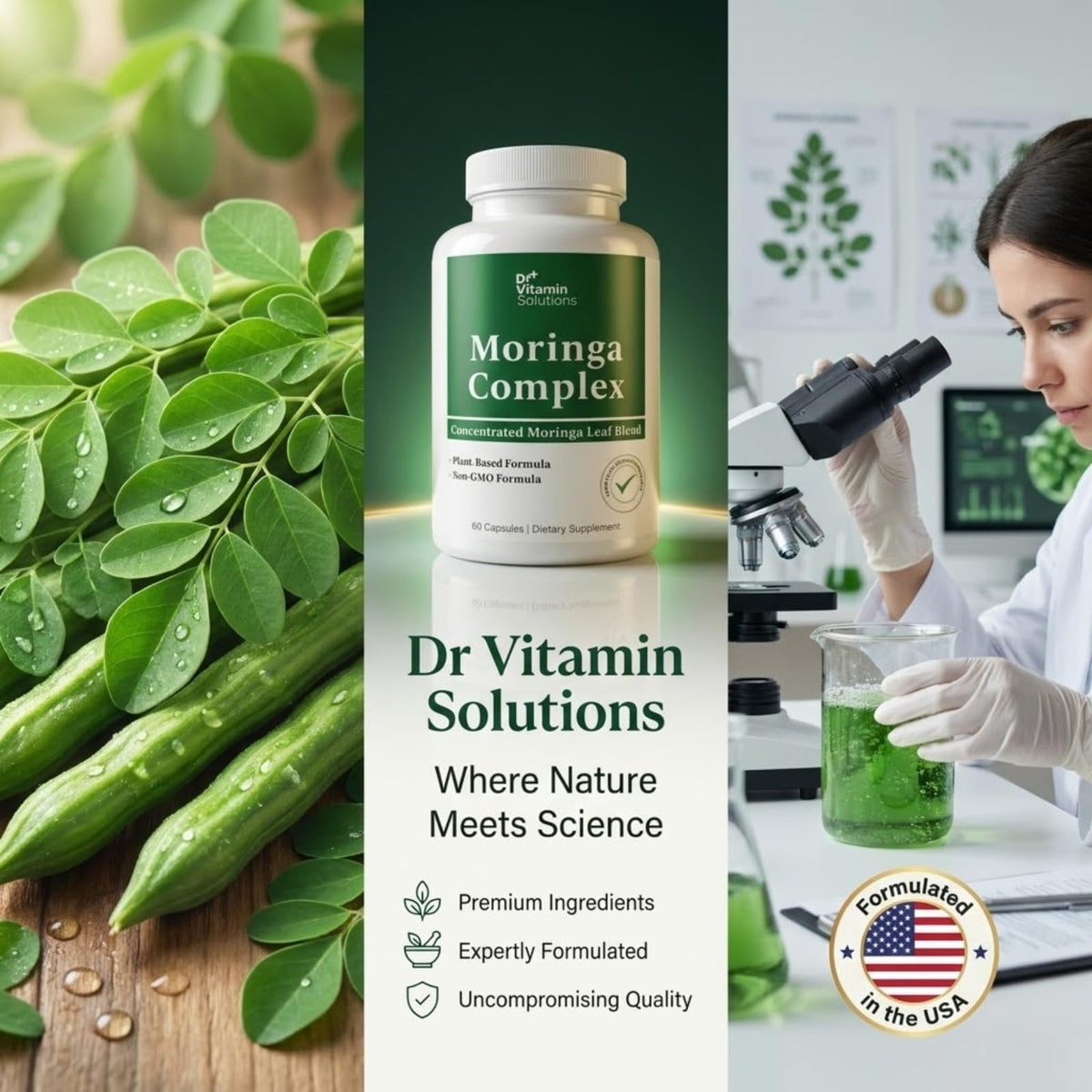 Moringa Oleifera Capsules with 20:1 Leaf Extract F43037