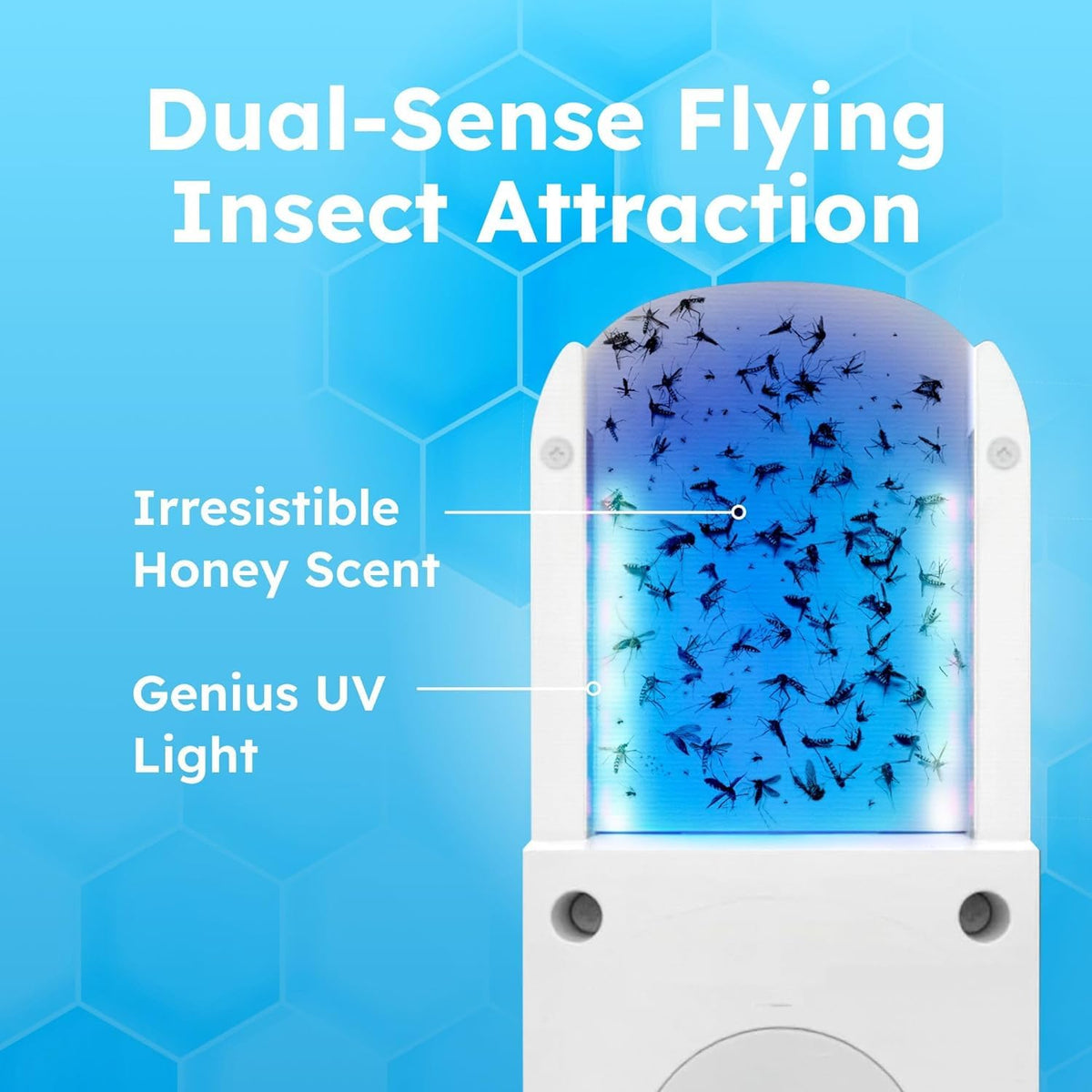 Fruit Fly Trap with UV Light W993851