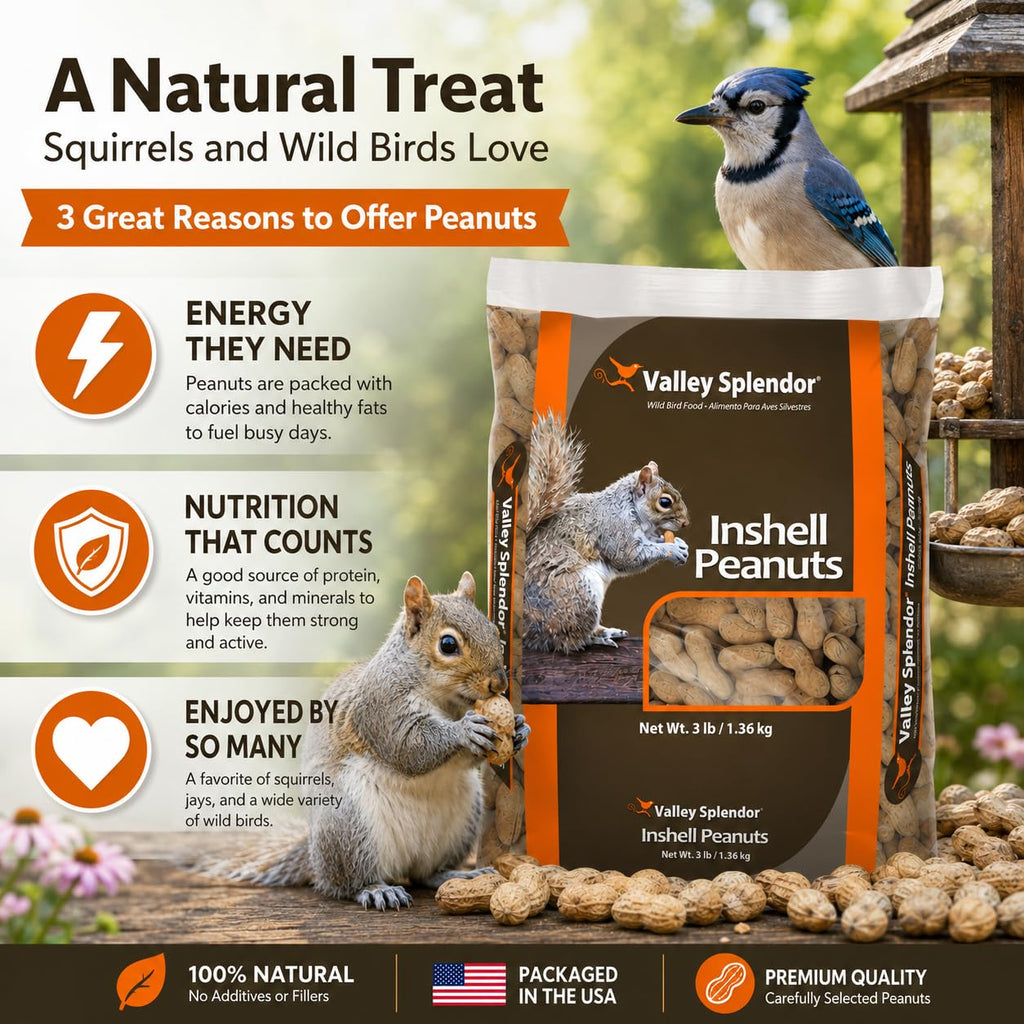 Peanuts In A Shell 3lbs U153149