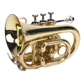 Bb Pocket Trumpet, Ni Plated Brass with 7C Mouthpiece H2046