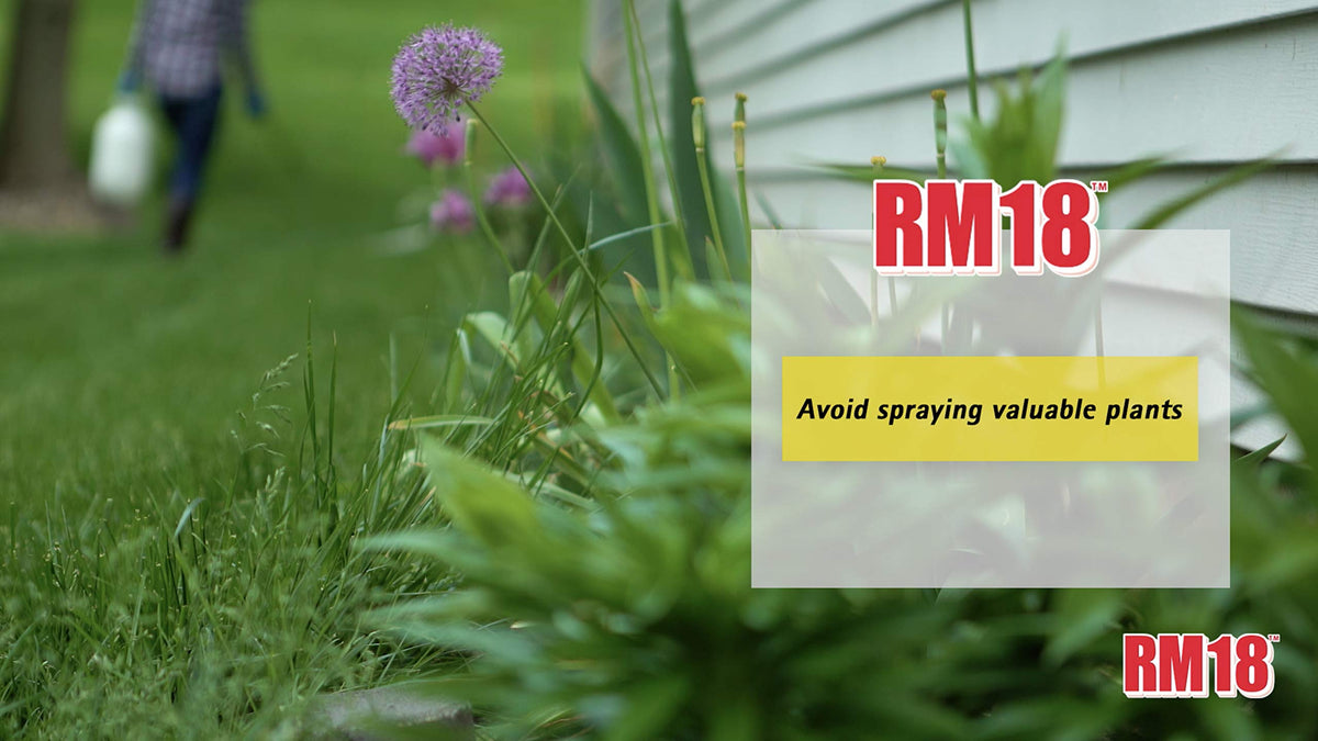 Fast-Acting Weed and Grass Killer, 64-ounce K99157