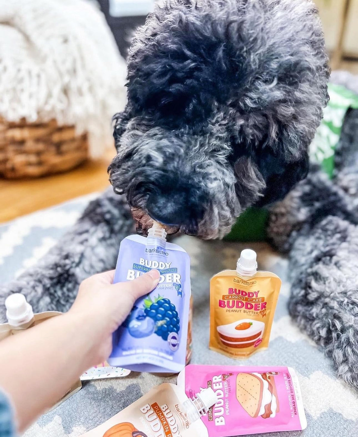 12pk Variety Pack 100% All Natural Peanut Butter for Dogs W388657