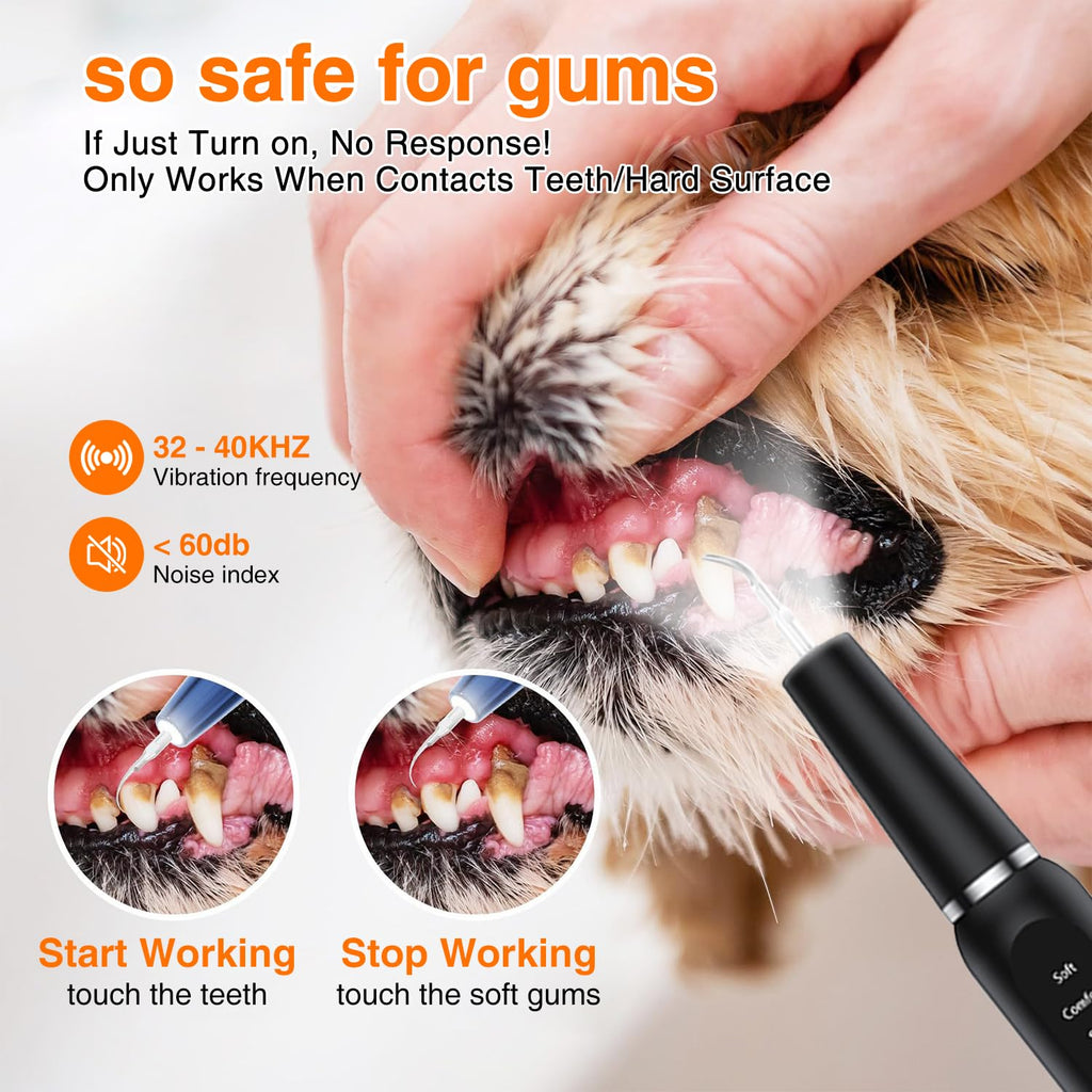 Ultrasonic Dog Plaque Remover with LED Light Q27615
