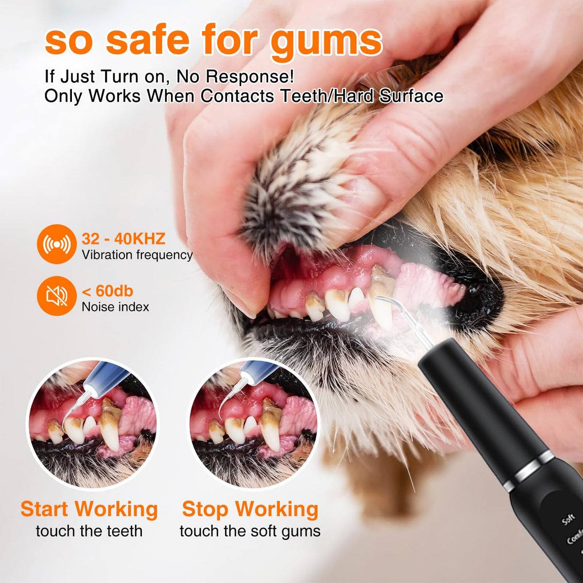 Ultrasonic Dog Plaque Remover with LED Light Q27615