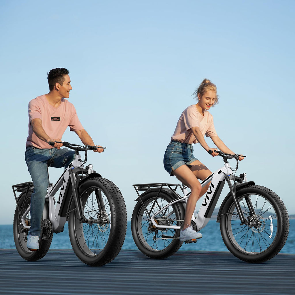 Electric Bike 26 x 4.0 Fat Tire 1500W Peak Motor Z89062