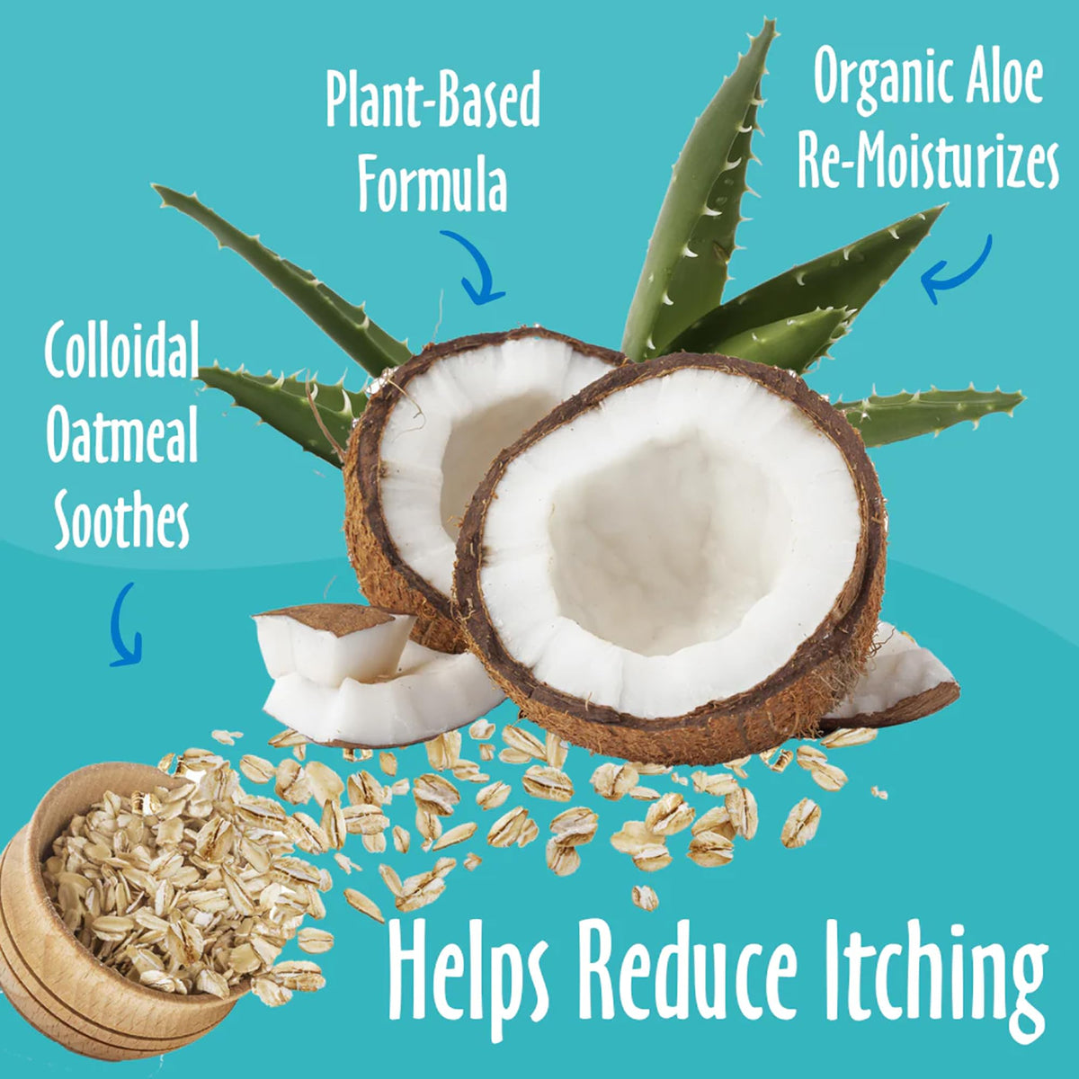Oatmeal & Aloe Conditioner 16 Oz V369855