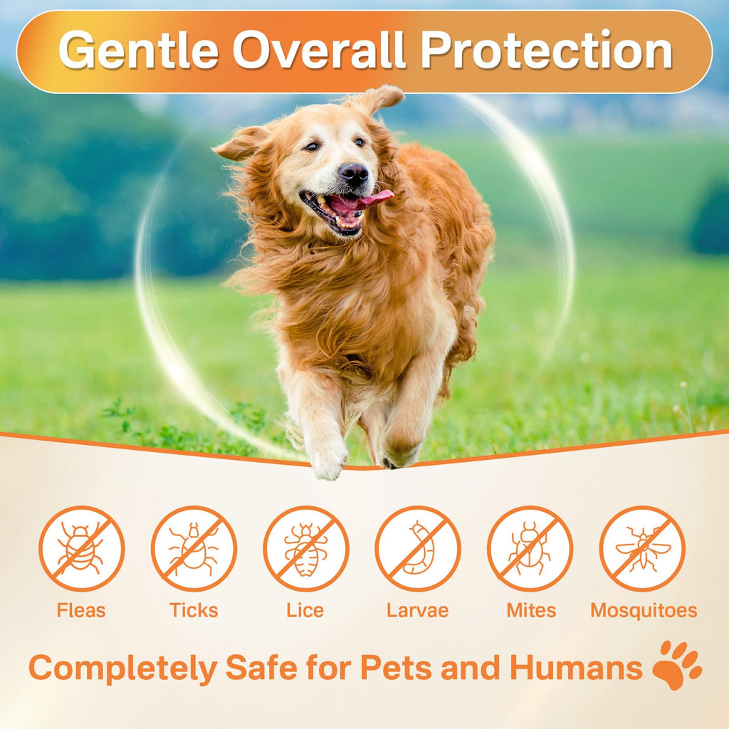 Flea and Tick Prevention for Dogs Chew V855001