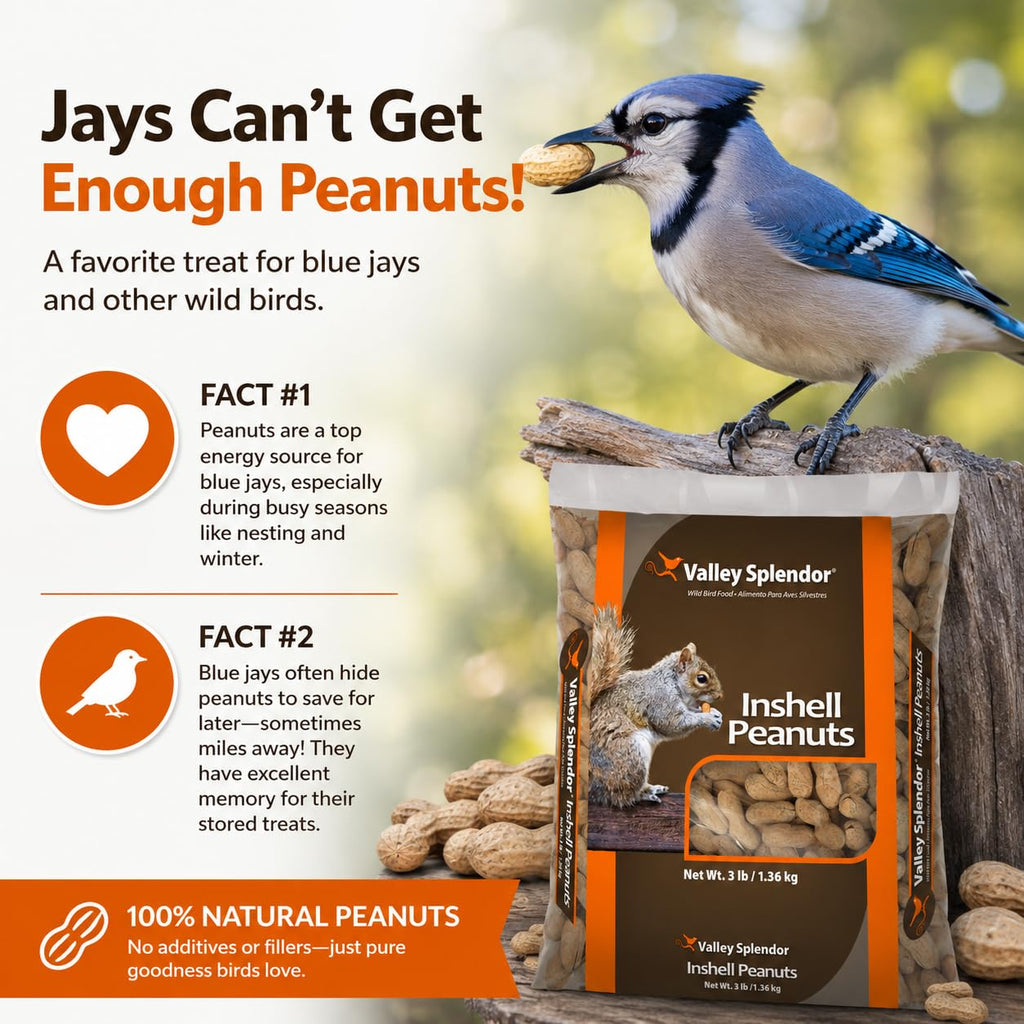 Peanuts In A Shell 3lbs U153149