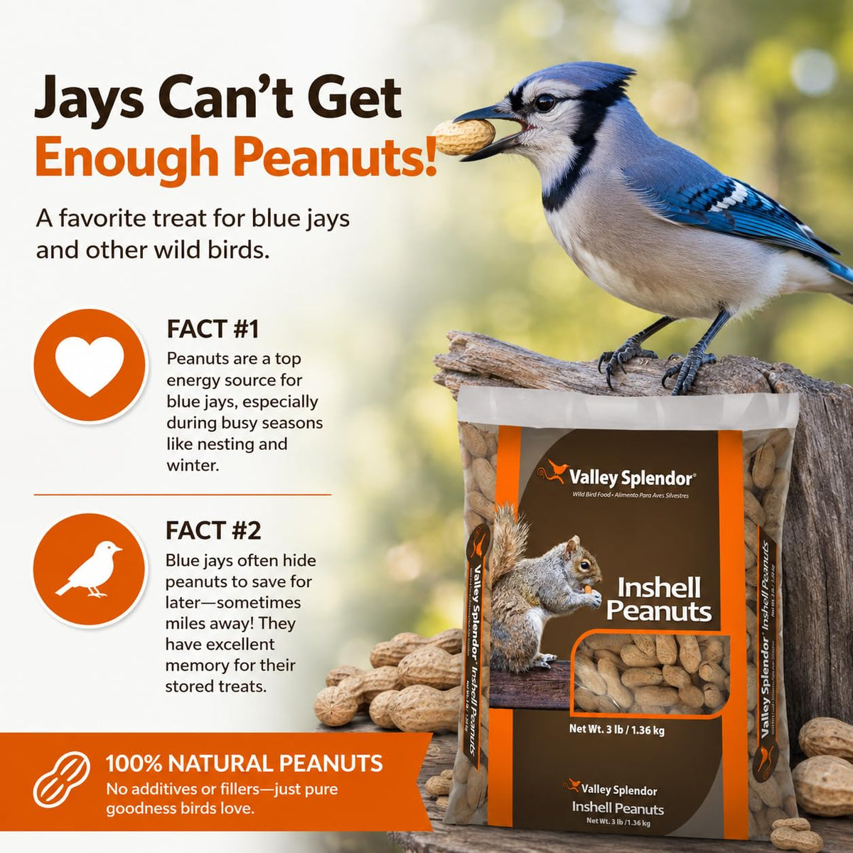 Peanuts In A Shell 3lbs U153149