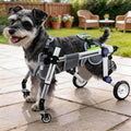 Dog Wheelchair for Small Dogs G264