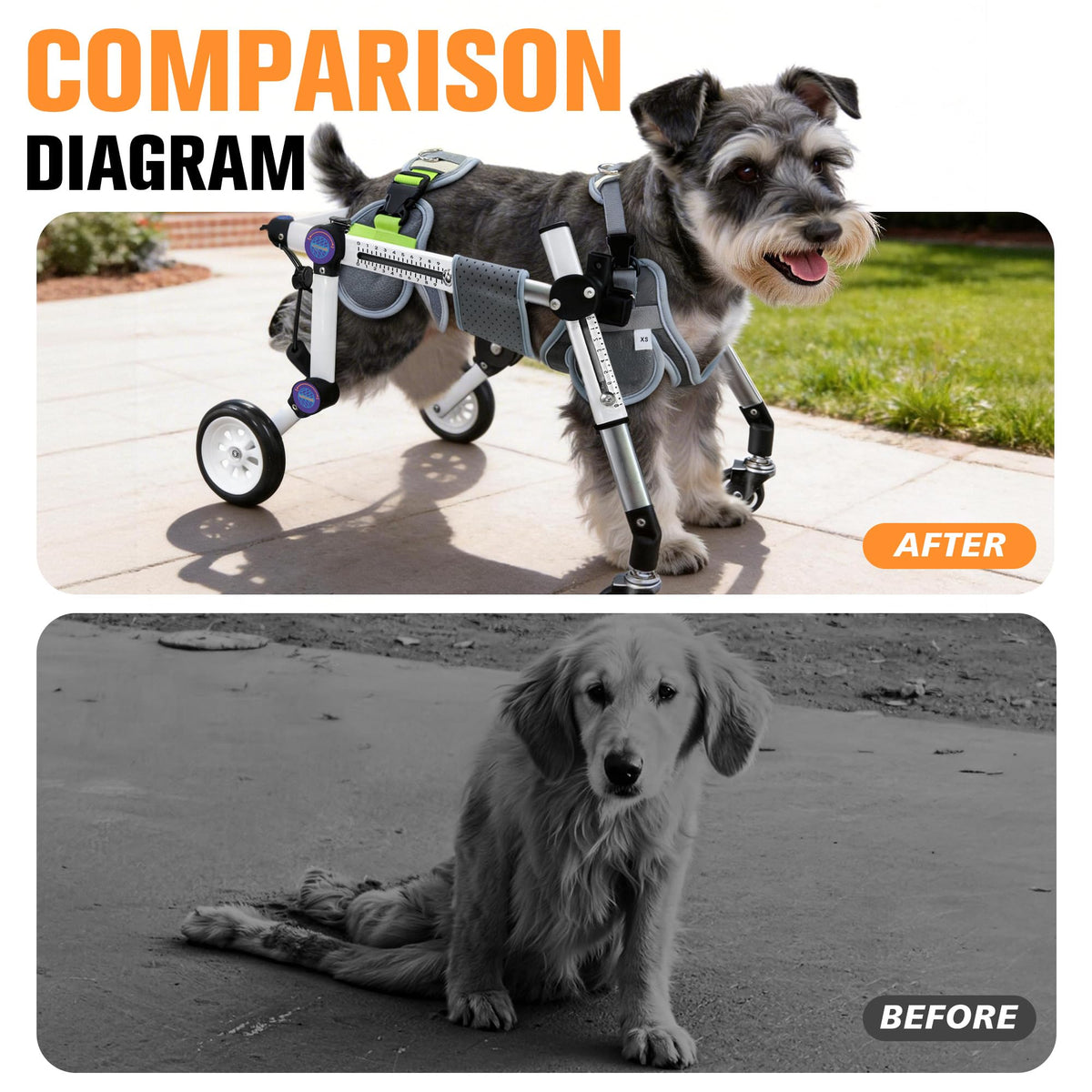 Dog Wheelchair for Small Dogs G264