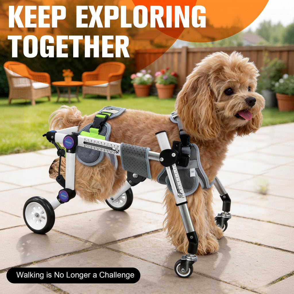 Dog Wheelchair for Small Dogs G264