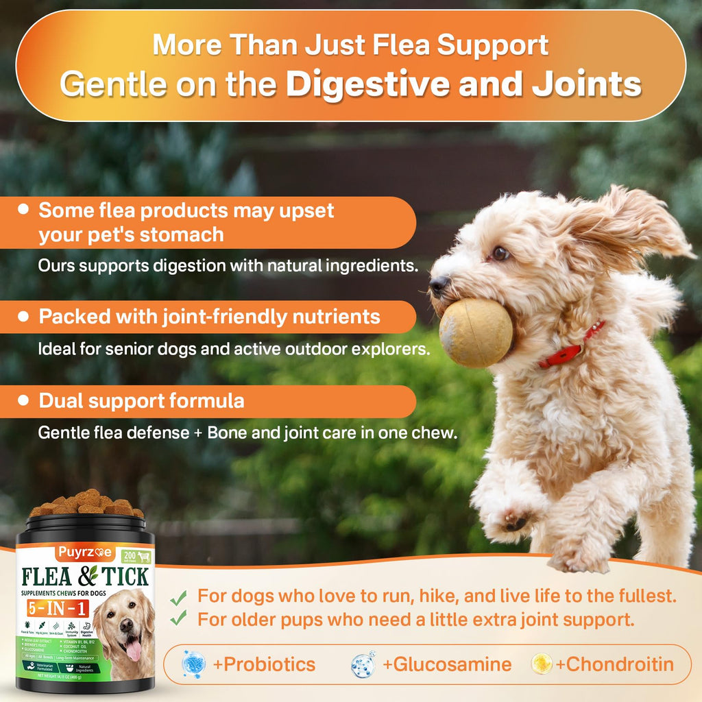 Flea and Tick Prevention for Dogs Chew V855001