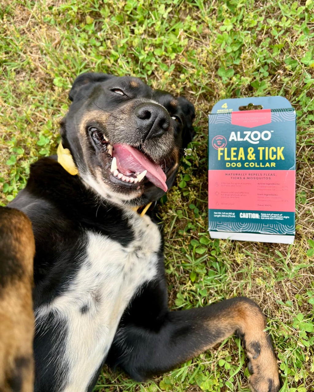 Plant Based Flea & Tick Dog Collar U8462