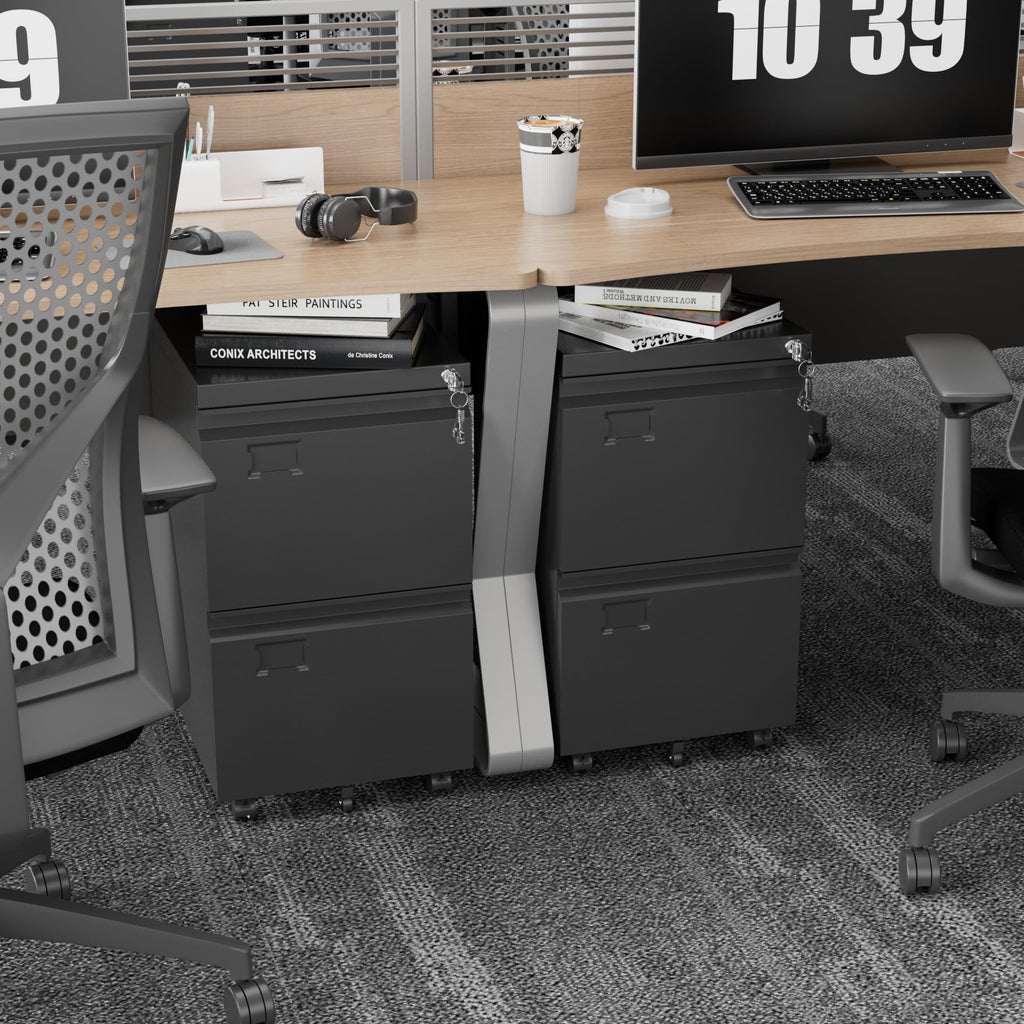 2 Drawer Black Metal File Cabinet with Lock M5320