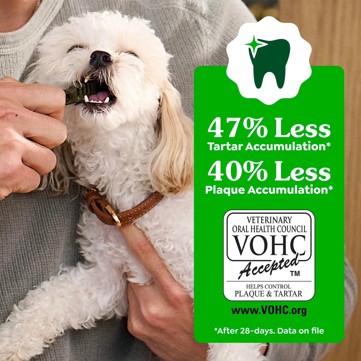 Large Natural Dental Dog Treats, 24 Count P785678