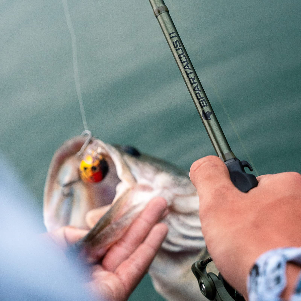 Spinning & Casting Fishing Rods X650