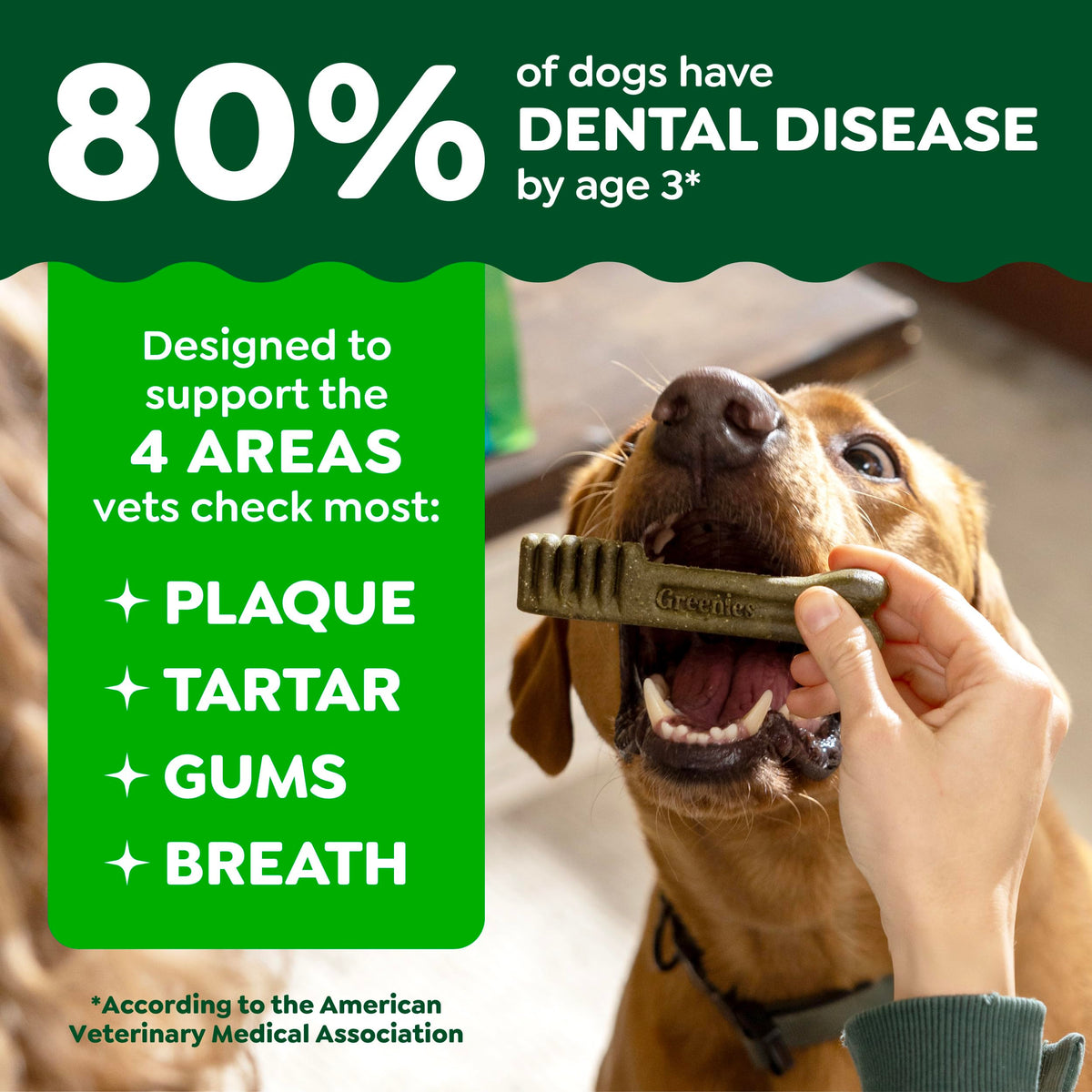 Large Natural Dental Dog Treats, 24 Count P785678