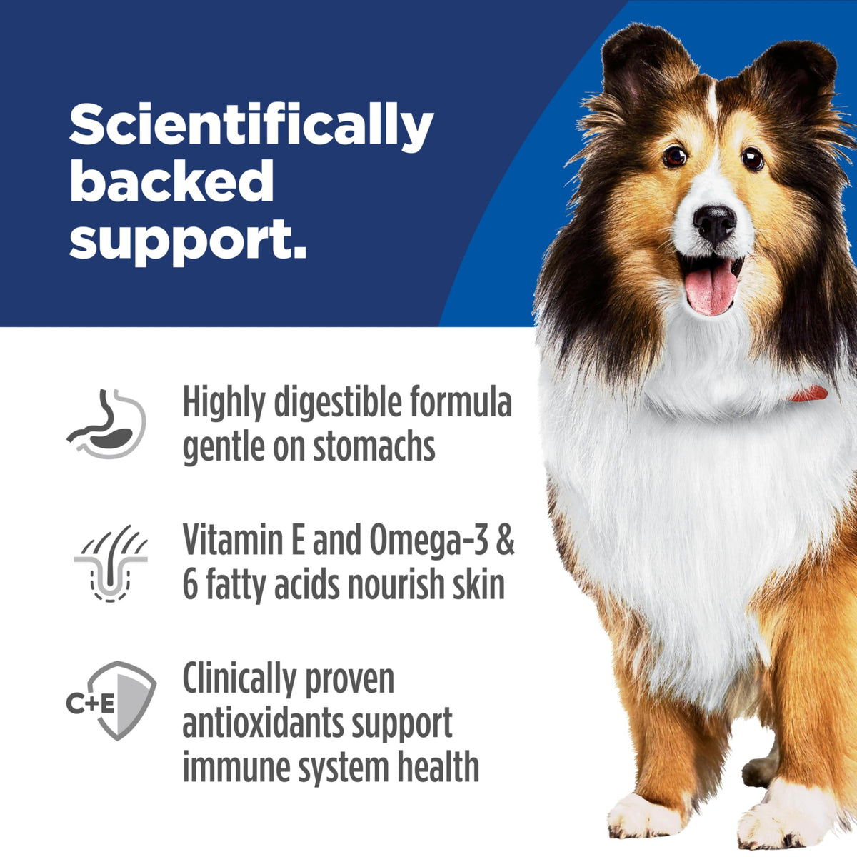 Sensitive Stomach & Skin Wet Dog Food A874