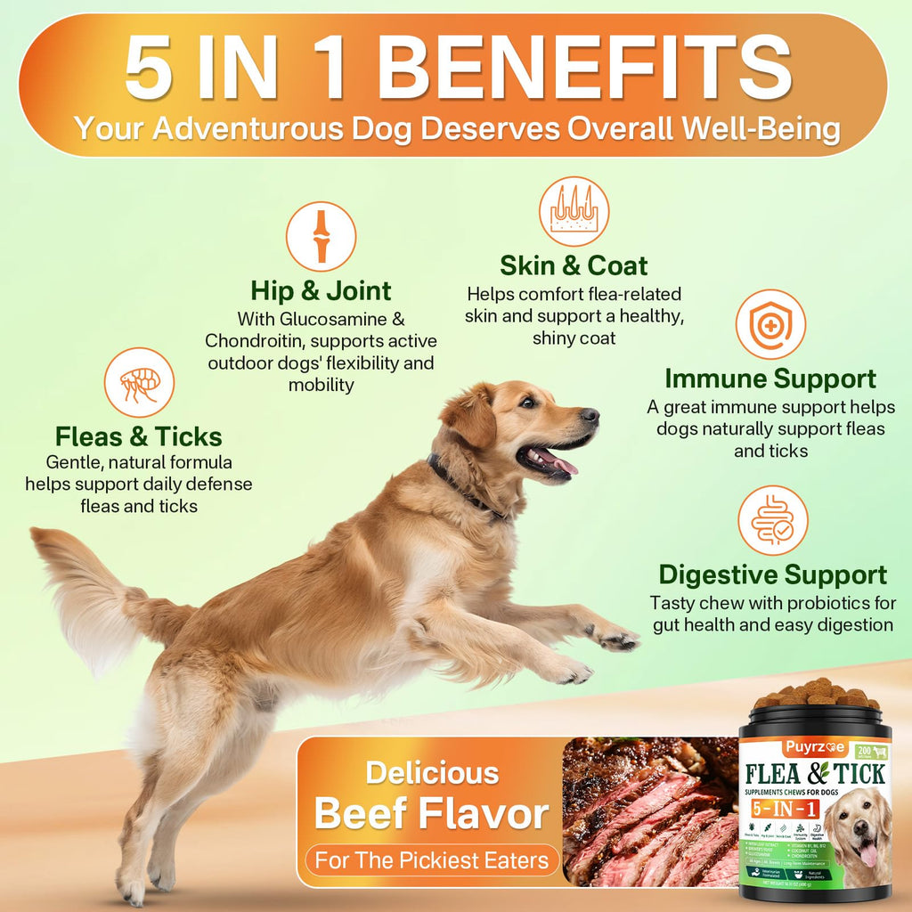 Flea and Tick Prevention for Dogs Chew V855001