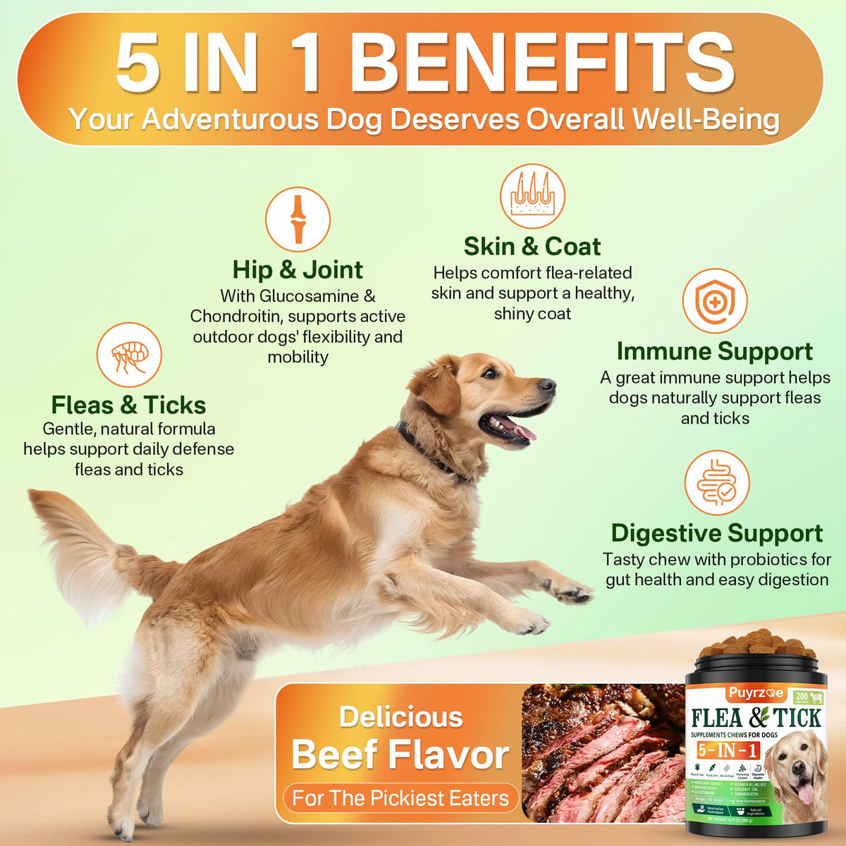 Flea and Tick Prevention for Dogs Chew V855001