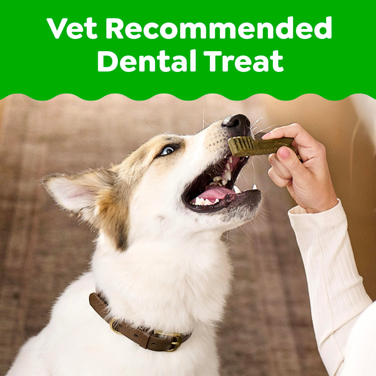 Large Natural Dental Dog Treats, 24 Count P785678