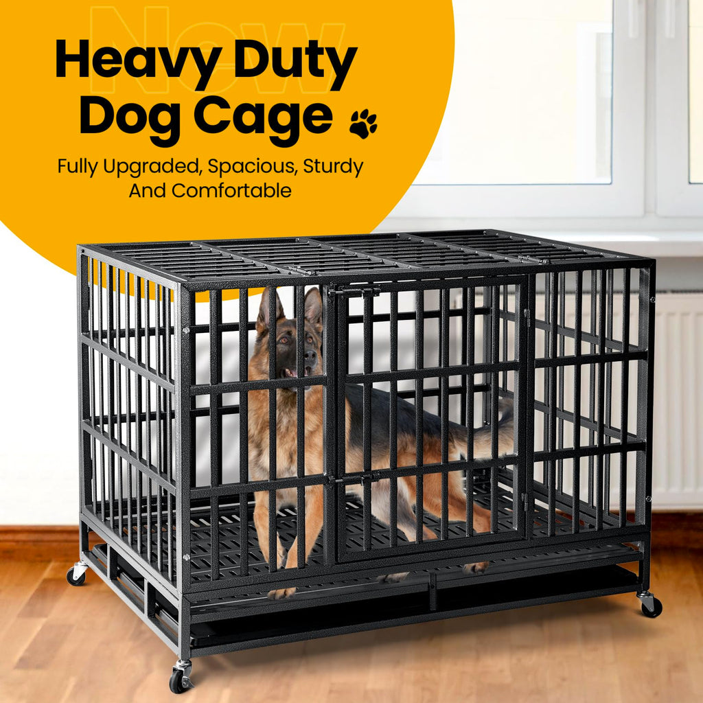 48 Inch Heavy Duty Dog Crate N696949