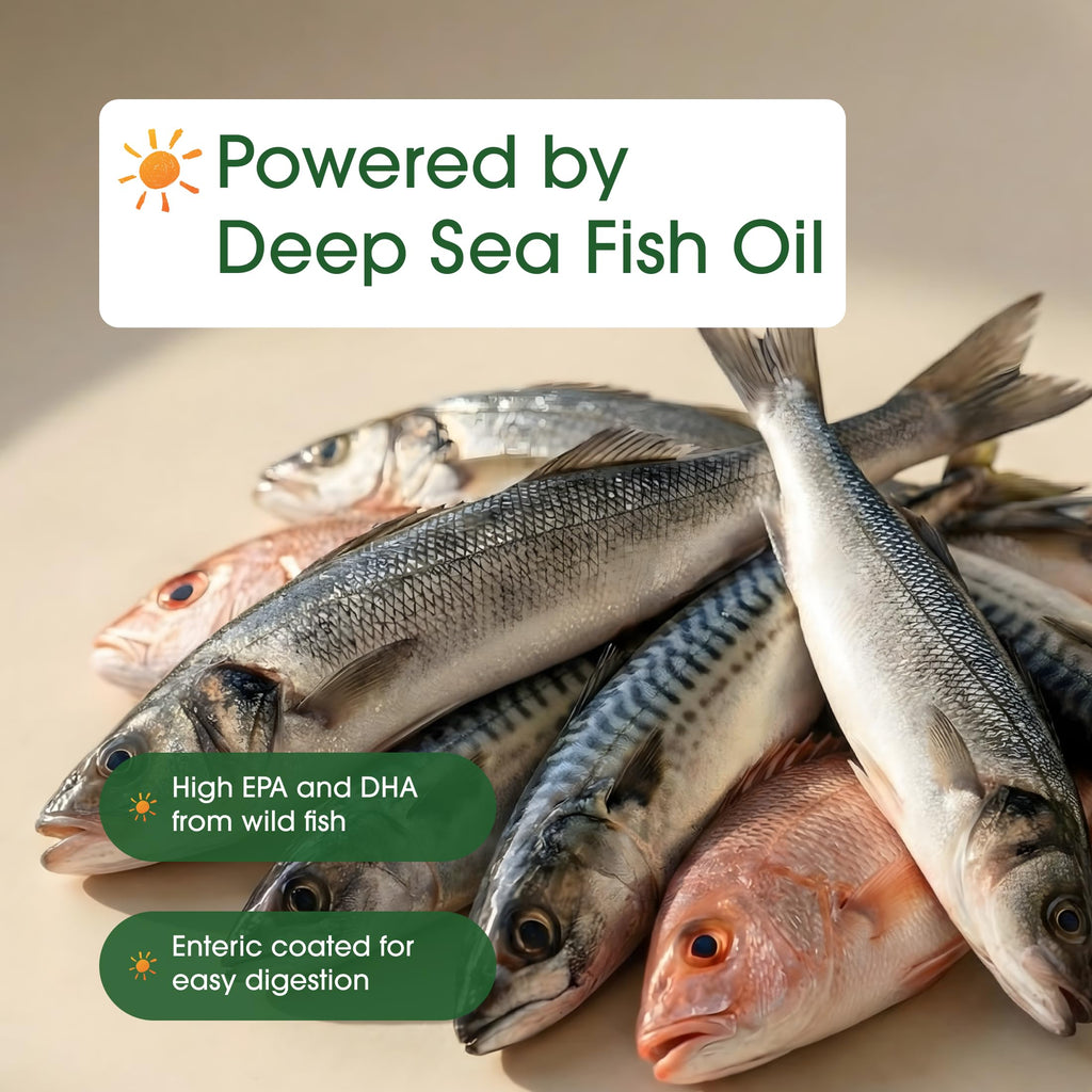 Omega-3 Fish Oil 3,000mg 240 Softgels O3031