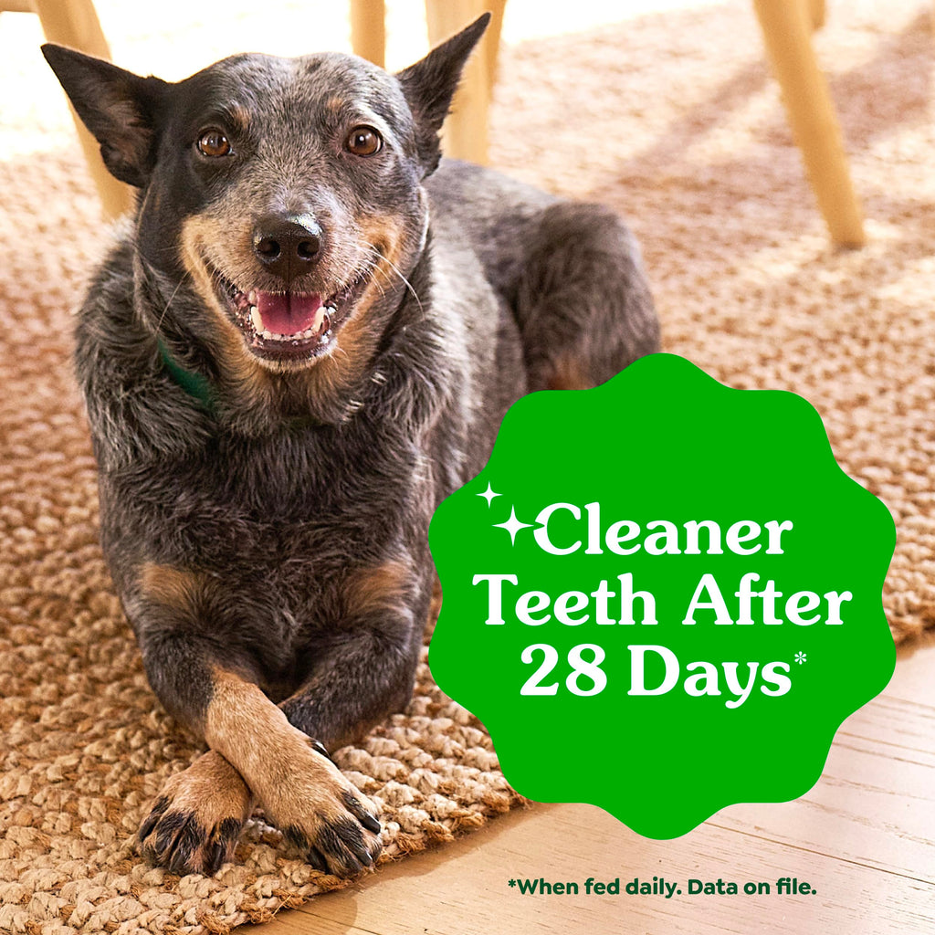 Large Natural Dental Dog Treats, 24 Count P785678