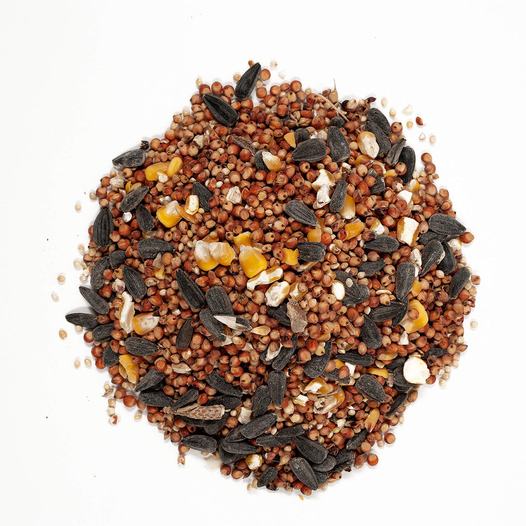Wild Bird Food Bundle 20 lbs + 5 lbs Q103